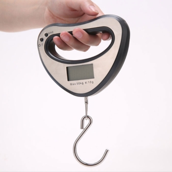 Multi-function portable electronic scale