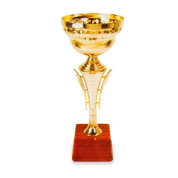 Competition Metal Trophy