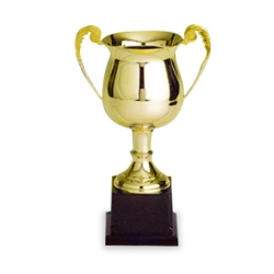 Sports Meeting Trophy