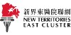 New Territories East Cluster