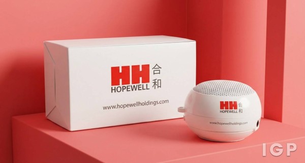 Hopewell Holdings
