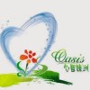 心靈綠洲