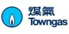 The Hong Kong & China Gas Co