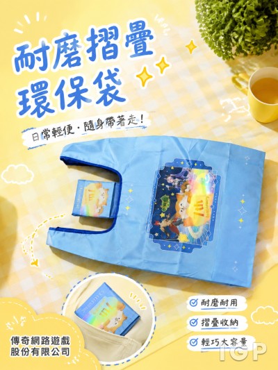 傳奇網路遊戲股份有限公司