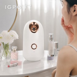 美容蒸臉器
