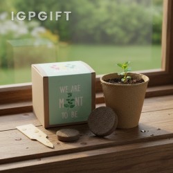 可生長的香薄荷栽培套件