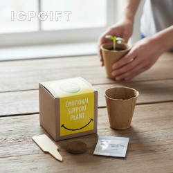 情感支持植物禮品套裝