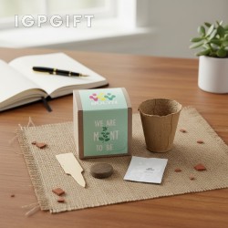 可生長的靈感盆栽禮品套件