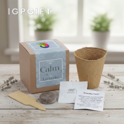 可生長薰衣草植物禮品套件