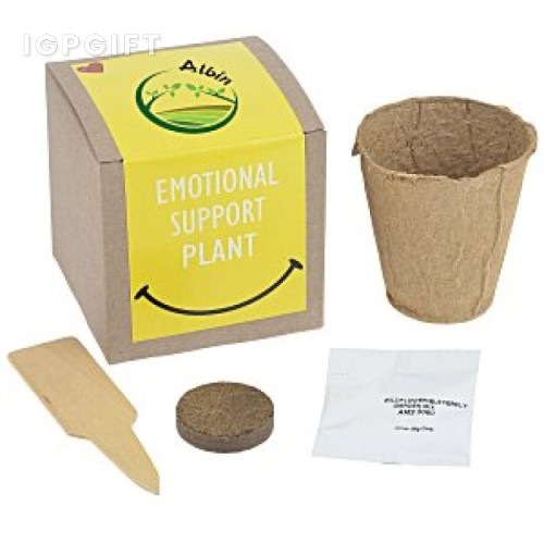 情感支持植物禮品套裝