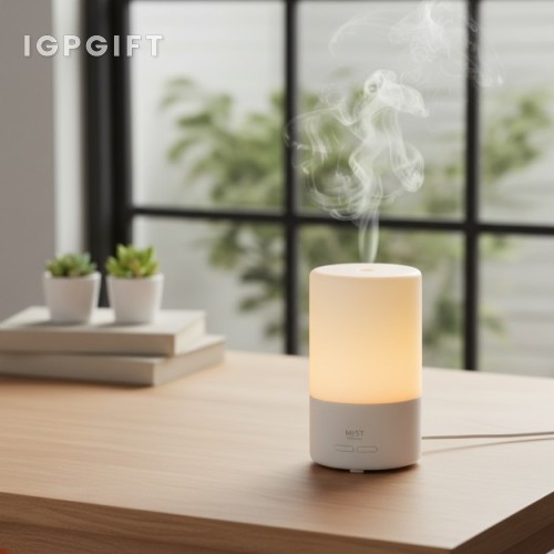 MIST 香氛加濕器擴香器