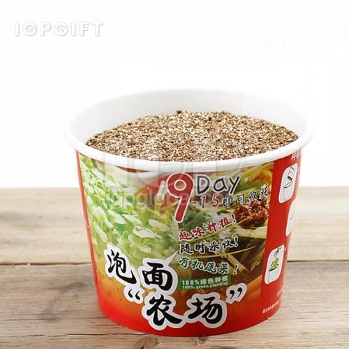 紙質泡麵農場盆栽