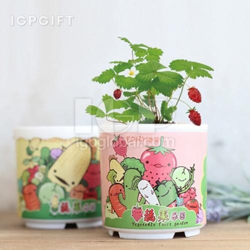 蔬菜水果塑料小盆栽