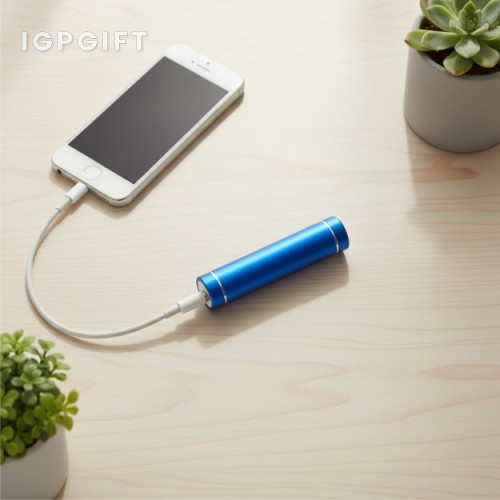 管型便捷充電器