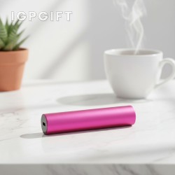 電筒充電器