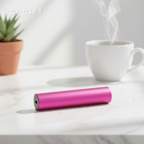 電筒充電器