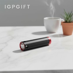 可攜式充電器