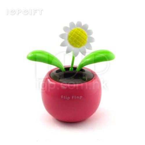 搖擺太陽花