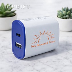 雙口壁插充電器
