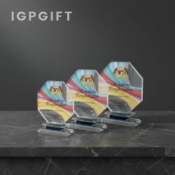 水晶獎牌 107-lll