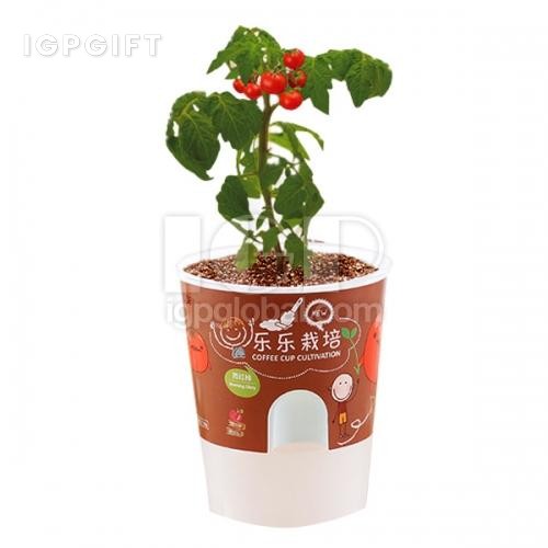 咖啡杯帶蓋盆栽