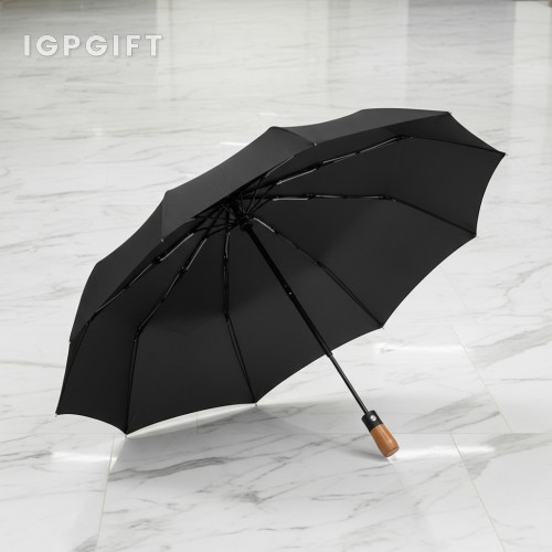 高檔十骨自動雨傘
