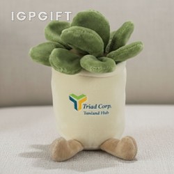 多肉植物玩偶