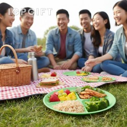 健康分隔盤