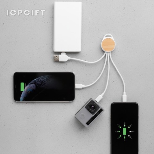 多功能環保充電線