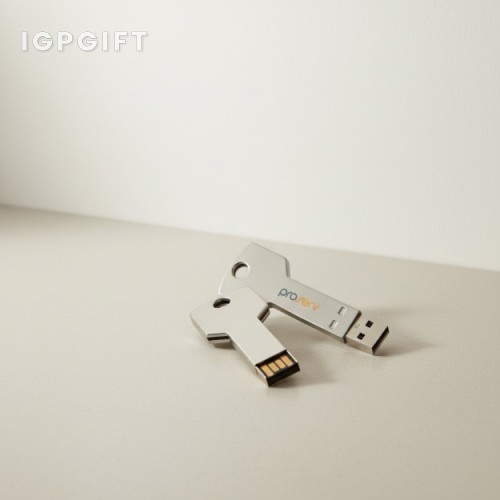 高端鑰匙形USB閃存盤 - 4GB