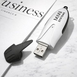 星辰USB閃存儲器 - 1GB