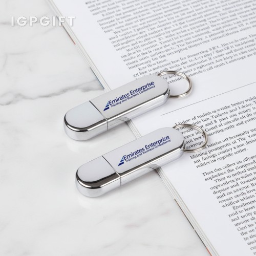 金屬光澤USB閃存驅動器（帶鑰匙環）- 4GB