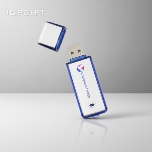 定製外殼USB閃存驅動器