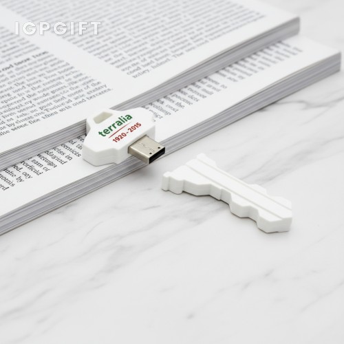 橡膠鑰匙形USB閃存