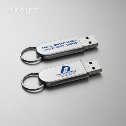 金屬光澤USB閃存驅動器（帶鑰匙環）- 4GB
