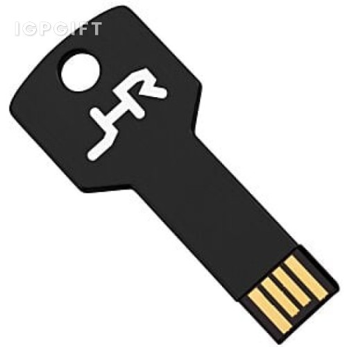 色彩鑰匙USB閃存驅動器 - 4GB