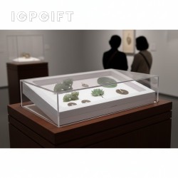 大型展示盒