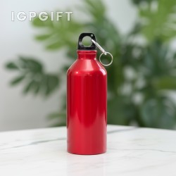 阿爾卑斯鋁製水瓶 II