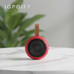 防水迷你音箱