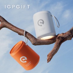 戶外便攜迷你藍芽喇叭帶電筒